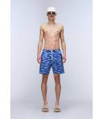 V-ELIOR AOP AOP FH1 