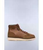 F5CONIFER03/SUN GOLDEN BROWN 