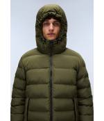 A-TEREZ OLIVE NIGHT G1F 