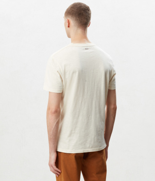 SEEB WHITE GRAPH FE6