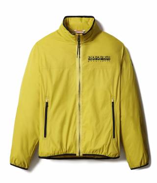 ARINO YELLOW MOSS 