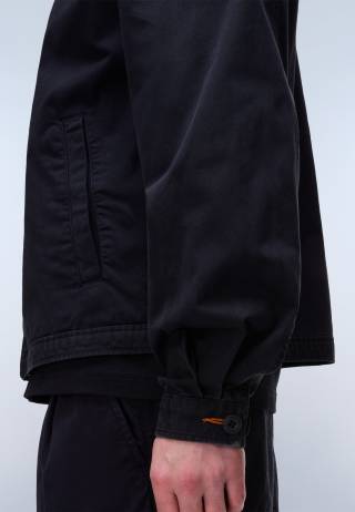 A-ARRAYANES BLACK BEAUTY 