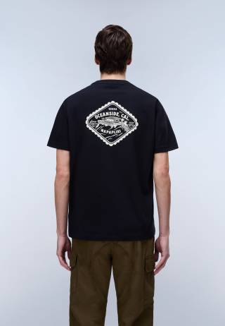 S-FLINT SS FANCY FX2 