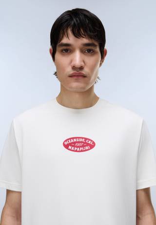 S-FLINT SS FANCY FX3 