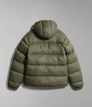 A-SUOMI H 1 GREEN LICHEN
