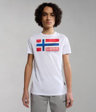 K S-ZAMORA FLAG COLORED FJ