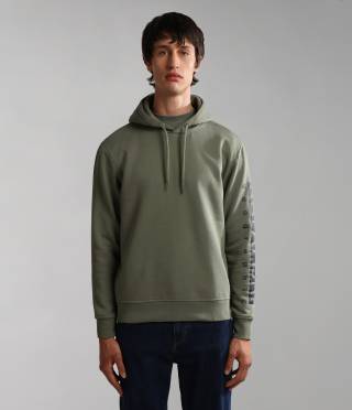 BADAS H 1 GREEN LICHEN