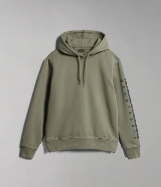 BADAS H 1 GREEN LICHEN