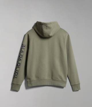 BADAS H 1 GREEN LICHEN
