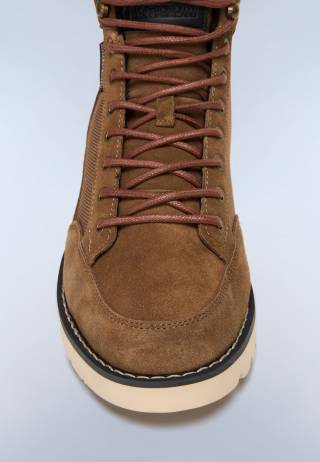 F5CONIFER03/SUN GOLDEN BROWN 