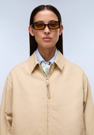 A-FRESNEL SHORT W MOJAVE DES N3D 