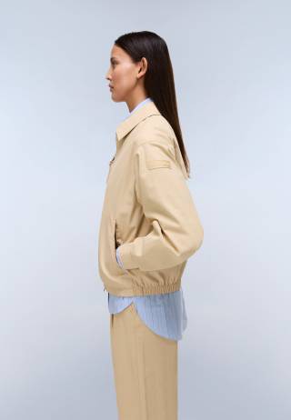 A-FRESNEL SHORT W MOJAVE DES N3D 