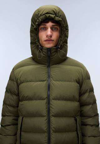 A-TEREZ OLIVE NIGHT G1F 