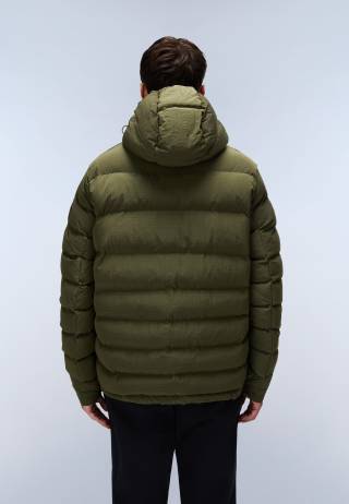 A-TEREZ OLIVE NIGHT G1F 