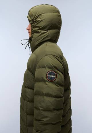 A-TEREZ OLIVE NIGHT G1F 