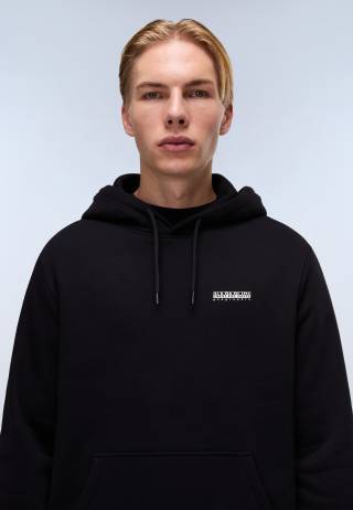 B-GUIDE H BLACK BEAUTY 