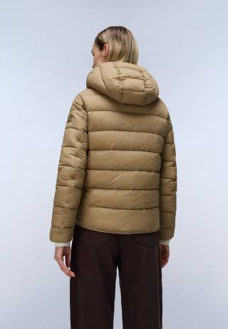 A-AERINS H W PETRIFIEDOAKN7C 