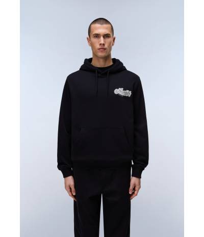 B-ZINC H BLACK BEAUTY 