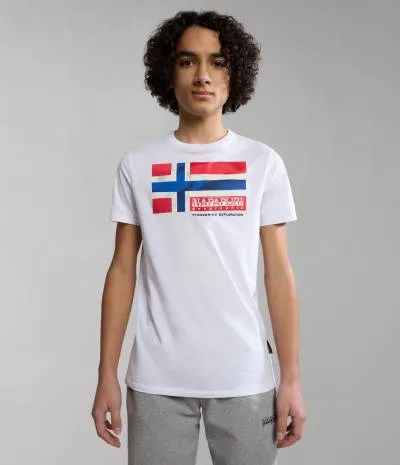 K S-ZAMORA FLAG COLORED FJ
