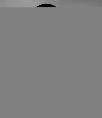 K F-HALLEY BLACK 041 