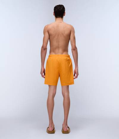 V-HALDANE APRICOT A70 