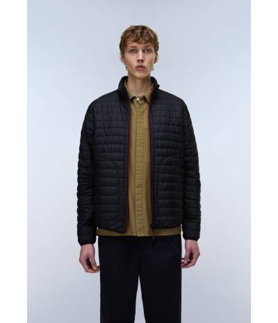 A-AMIATA BLACK BEAUTY 