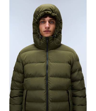 A-TEREZ OLIVE NIGHT G1F 