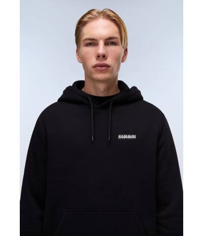 B-GUIDE H BLACK BEAUTY 