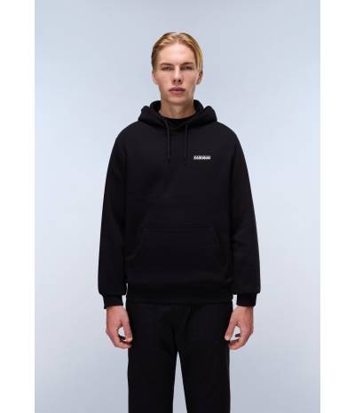 B-GUIDE H BLACK BEAUTY 