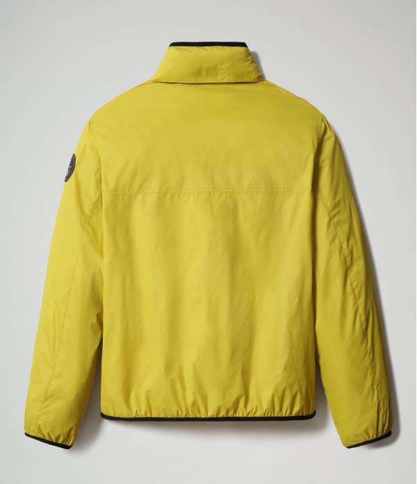 ARINO YELLOW MOSS 