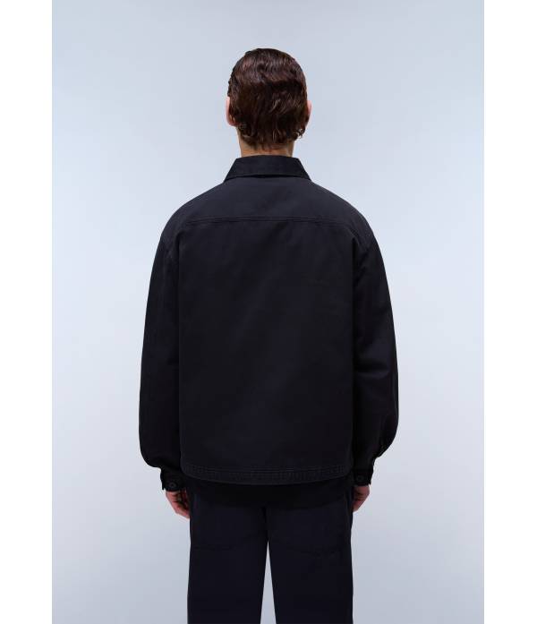 A-ARRAYANES BLACK BEAUTY 