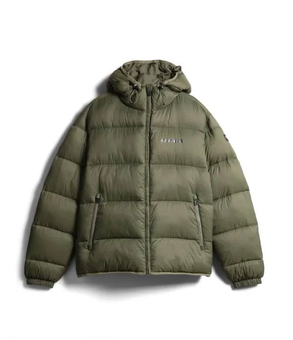 A-SUOMI H 1 GREEN LICHEN