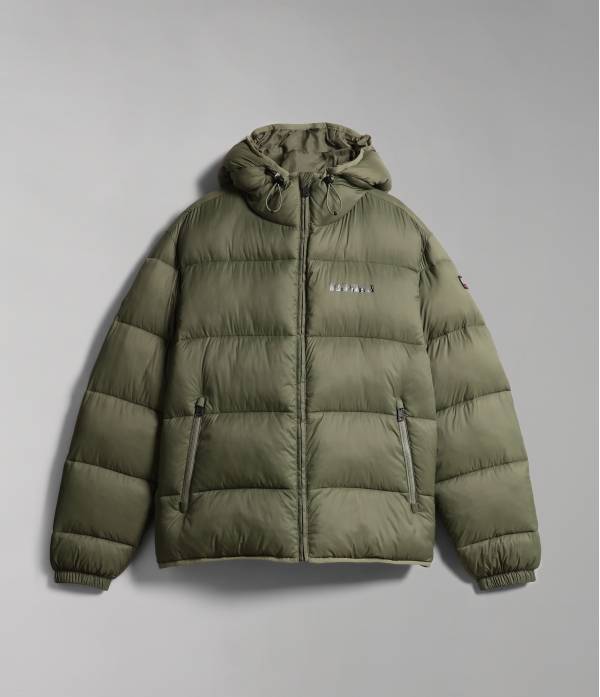 A-SUOMI H 1 GREEN LICHEN