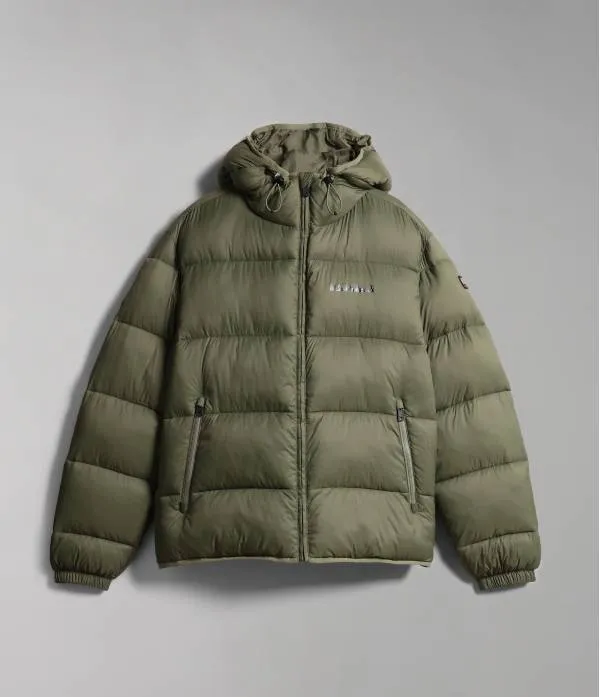 A-SUOMI H 1 GREEN LICHEN