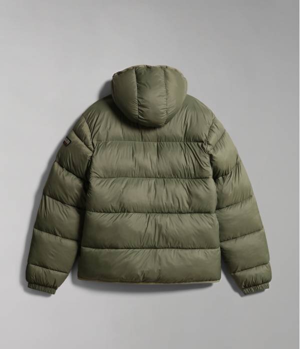 A-SUOMI H 1 GREEN LICHEN