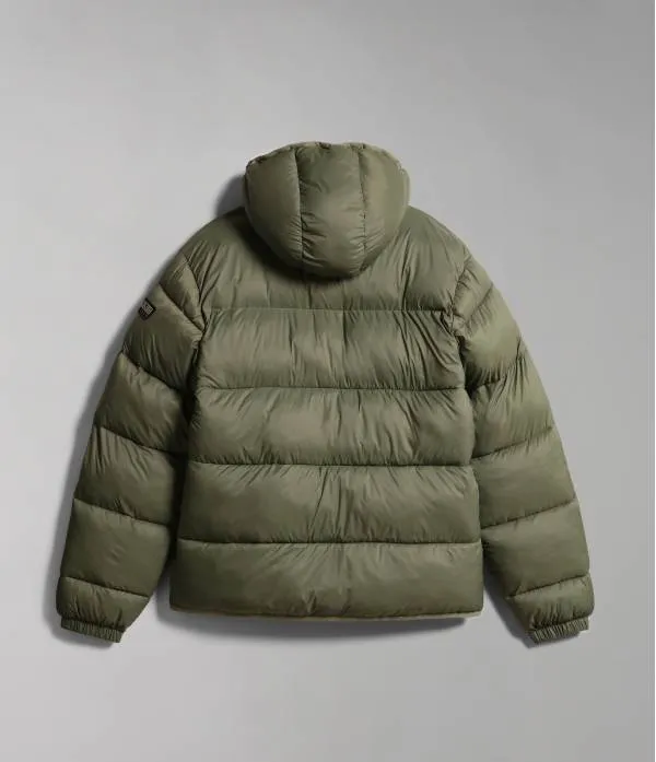 A-SUOMI H 1 GREEN LICHEN