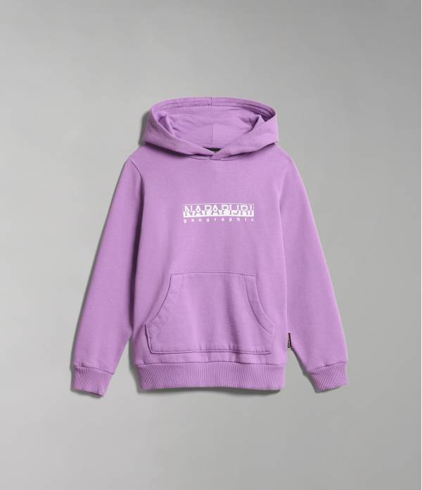 K B-BOX H 1 VIOLET PANSY