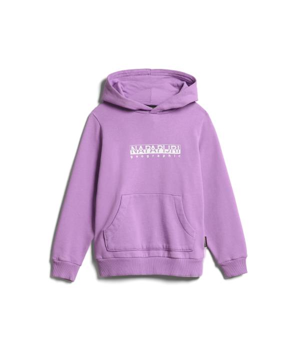 K B-BOX H 1 VIOLET PANSY