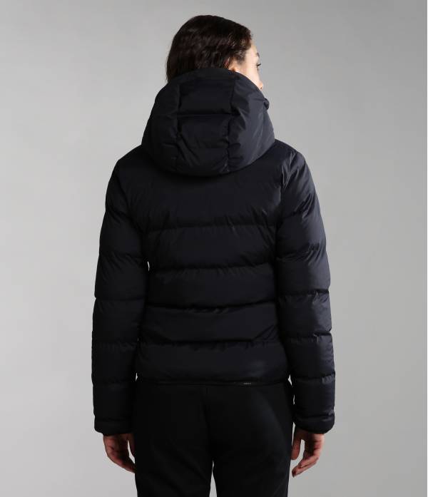 NEWTON W BLACK 041