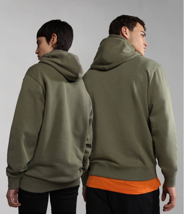 B-NAPO H GREEN LICHEN