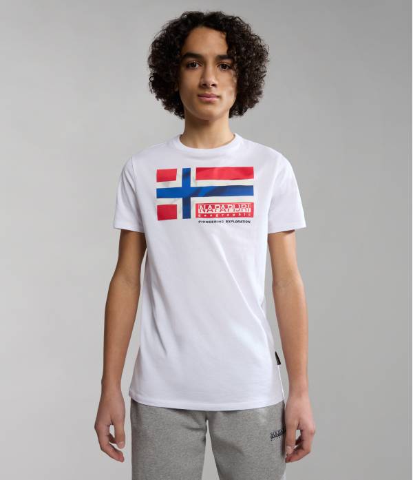 K S-ZAMORA FLAG COLORED FJ