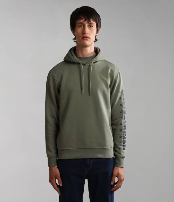 BADAS H 1 GREEN LICHEN