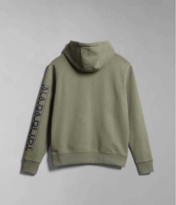 BADAS H 1 GREEN LICHEN