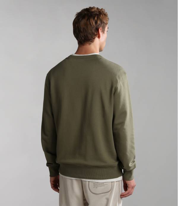 B-AYAS C 2 GREEN LICHEN