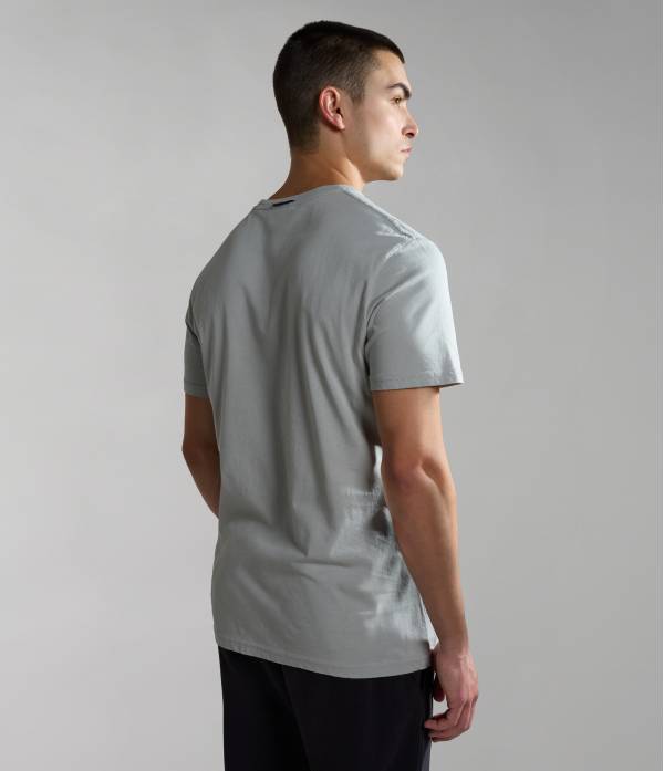 S-FORSTERI GRAY GHOST