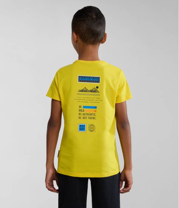 K S-LIARD YELLOW VISIBLE