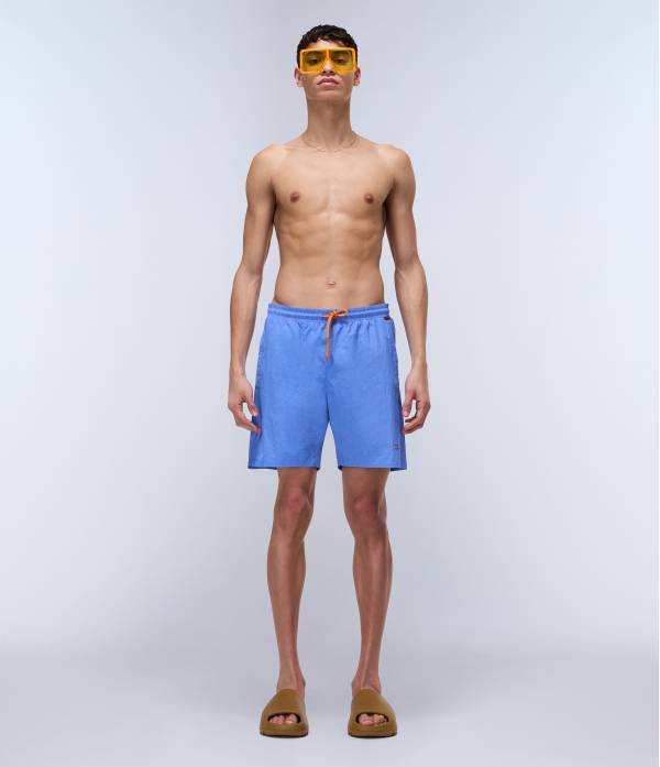 V-HALDANE ULTRAMARINE B2V 