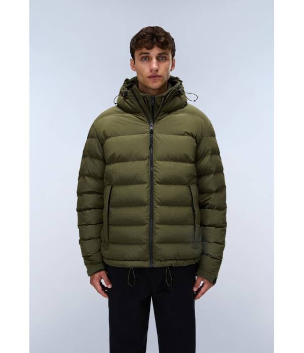 A-TEREZ OLIVE NIGHT G1F 
