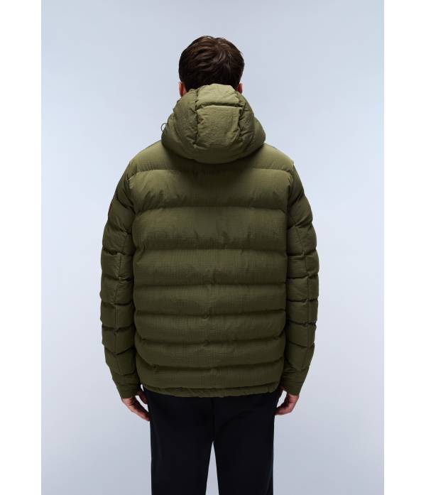 A-TEREZ OLIVE NIGHT G1F 