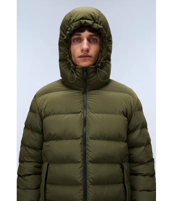 A-TEREZ OLIVE NIGHT G1F 